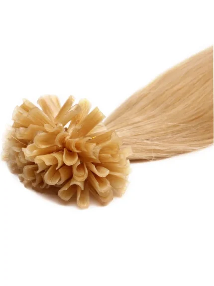 Extension Russian Remy 12A #22