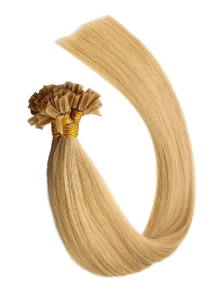 Extension Russian Remy 12A #24